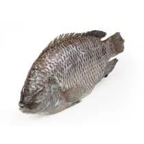 TILAPIAYA WHOLE  JONA 500-800G