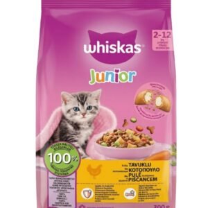 Whiskas Junior chicken-flavored dry food 300 gm